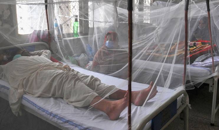 Dengue kills two more in Lahore