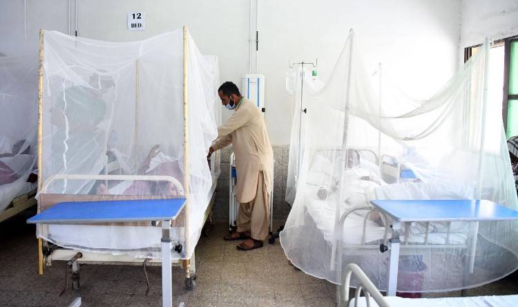 Dengue infects 296 more across Pakistan
