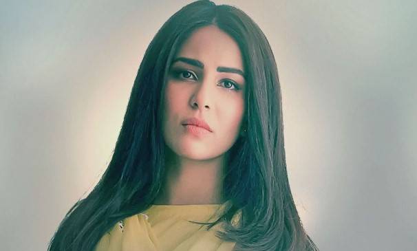 ushna shah on showbiz industry