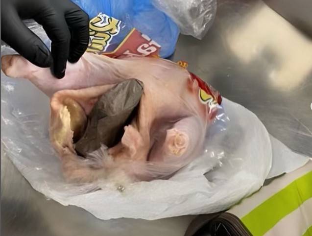 Gun found inside raw chicken in luggage at US airport