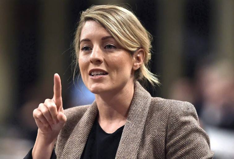 Canada to summon Russian envoy over 'hateful' LGBTQ tweets