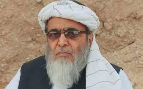 Hafiz Hussain Ahmed rejoins JUI-F