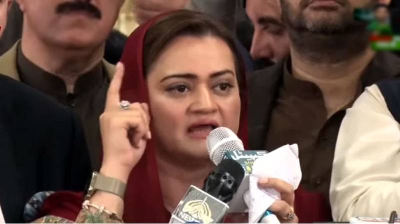 Daily Mail's apology proved PM was falsely accused of money laundering: Marriyum