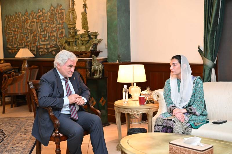 German Ambassador Gurnis calls on Aseefa Bhutto Zardari