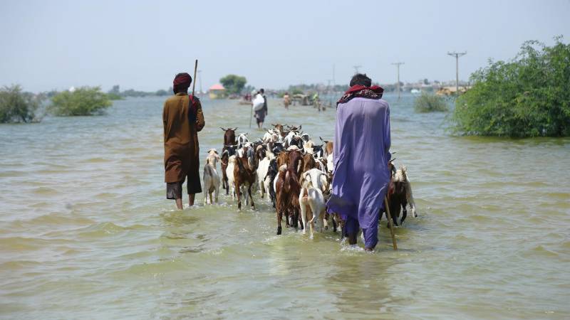 UN says funds for flood-hit Pakistan to run out in weeks