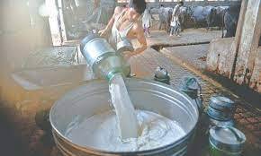 Milk price increased by Rs10 per litre in Karachi