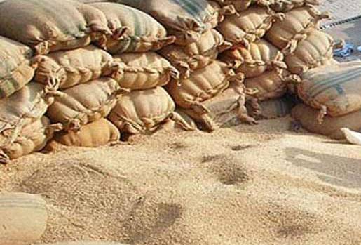Wheat price reaches Rs4,450 per 40kg in Punjab
