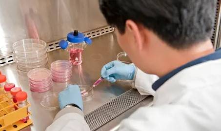 Bionic penis: Synthetic tissue restores erections in pigs