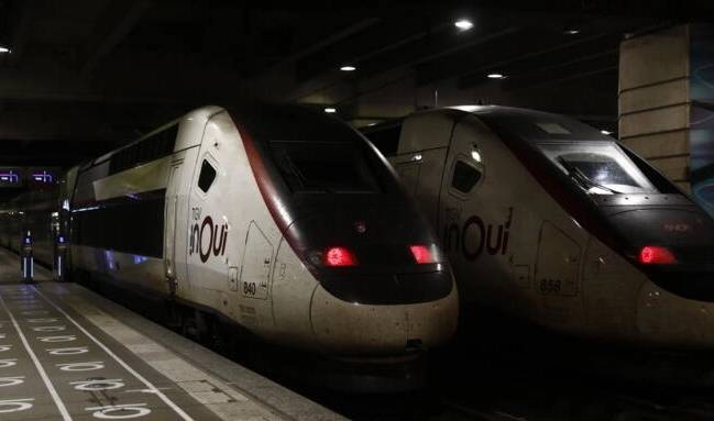 France minister 'shocked' after train runs over cat