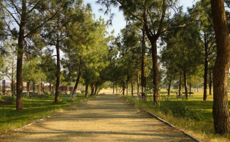 Police find eyewitness of F-9 Park Islamabad rape case 