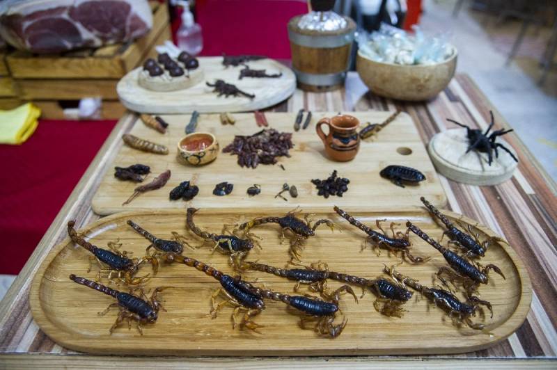 Misinformation swirls over EU edible insects