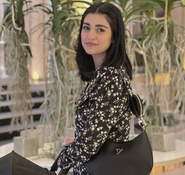 Sarah Khan shines on internet in latest video