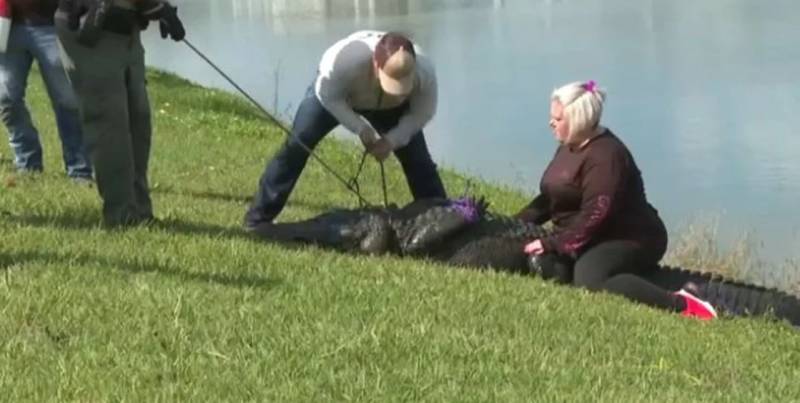 Alligator kills 85-year-old woman walking her dog in Florida