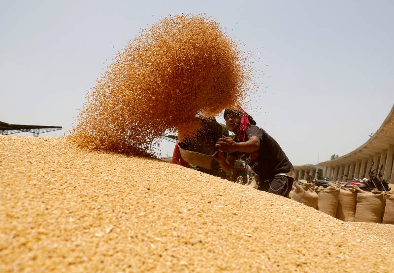 GB risks food crisis after shortage of wheat