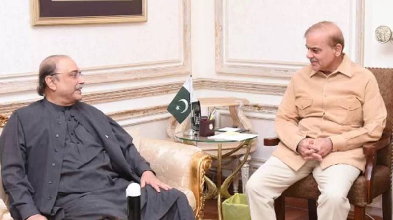 PM Shehbaz, Asif Zardari discuss political situation  