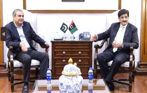 Punjab CM Naqvi, Murad Ali Shah hold meeting