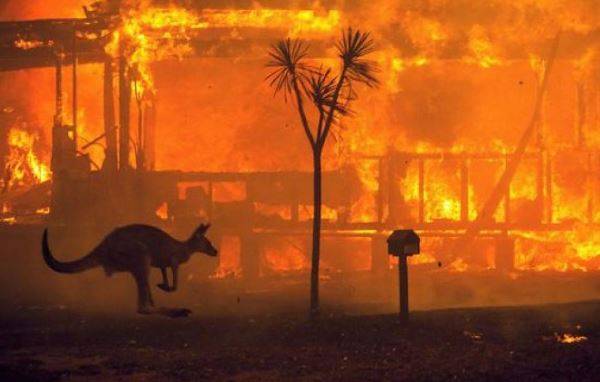 Massive Australia wildfires increased Antarctic ozone hole: study