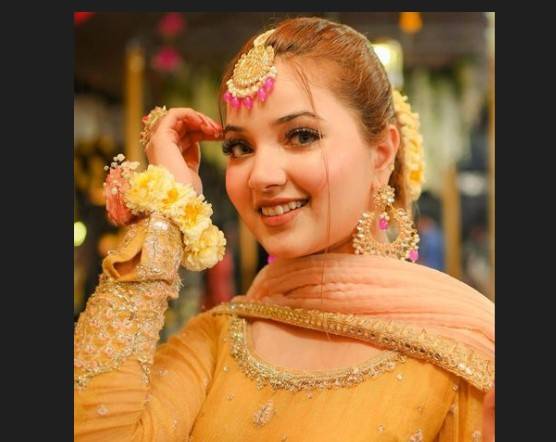 Lonely Rabeeca Khan missing buddy Hussain Tareen in wedding function