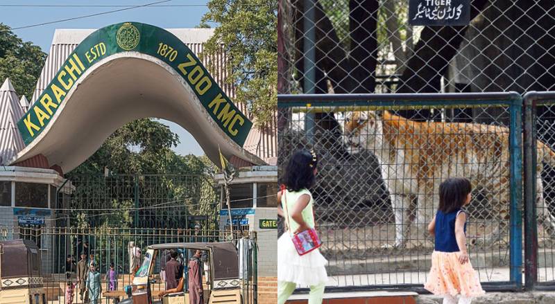 Animals starve as food supply halted due to unpaid bills at Karachi Zoo