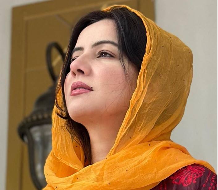 Rabi Pirzada appeals fans to buy her paintings