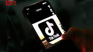 Swedish military bans TikTok on work phones
