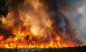 Strong winds drive early Spain wildfire