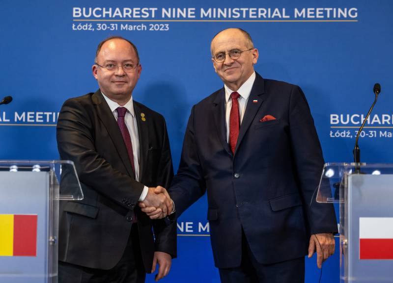 Polish Foreign Minister Zbigniew Rau (R) and his Romanian counterpart Bogdan Aurescu shake hands after a joint press conference. AFP