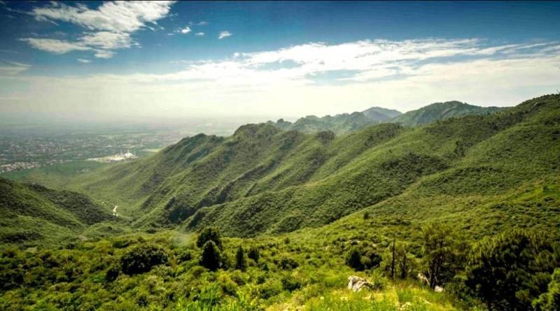 Smoking, BBQ and Bonfire banned in Margalla Hills  