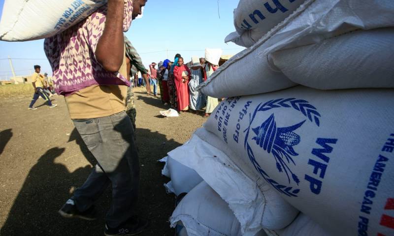 UN food agency suspends work in Sudan after staff killed