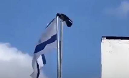 Video of bird removing Israeli flag goes viral 