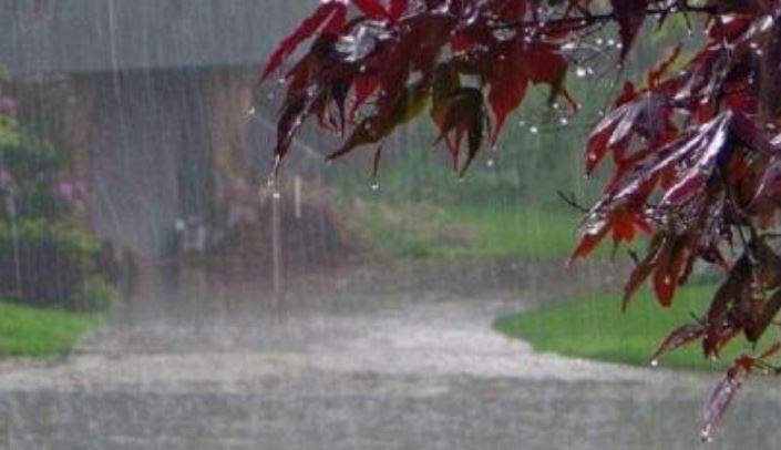 Rain expected in Punjab, KP, GB and Islamabad