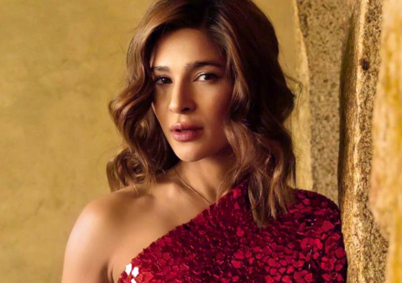Ayesha Omar VANISHES from social media for next fourteen days, here’s why