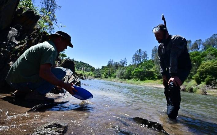 California's wet winter sparks a new gold rush