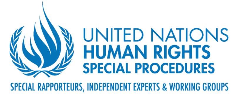 UN expert warns G-20 states about human rights violations in Indian-held Kashmir 