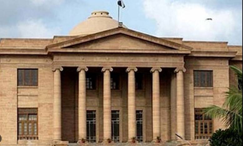 Detention under MPO challenged in SHC