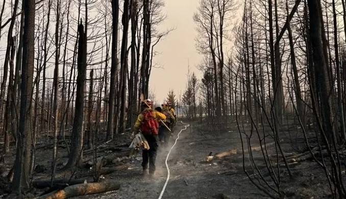 12 parks closed in western Canada due to risk of fires