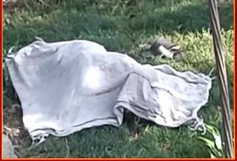 Grandpa murders boy to marry his daughter-in-law