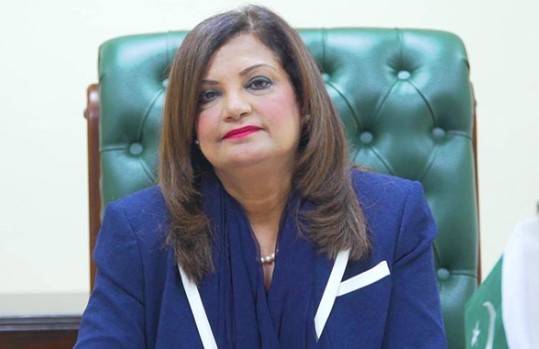 PTI leader’s attempt to flee abroad foiled