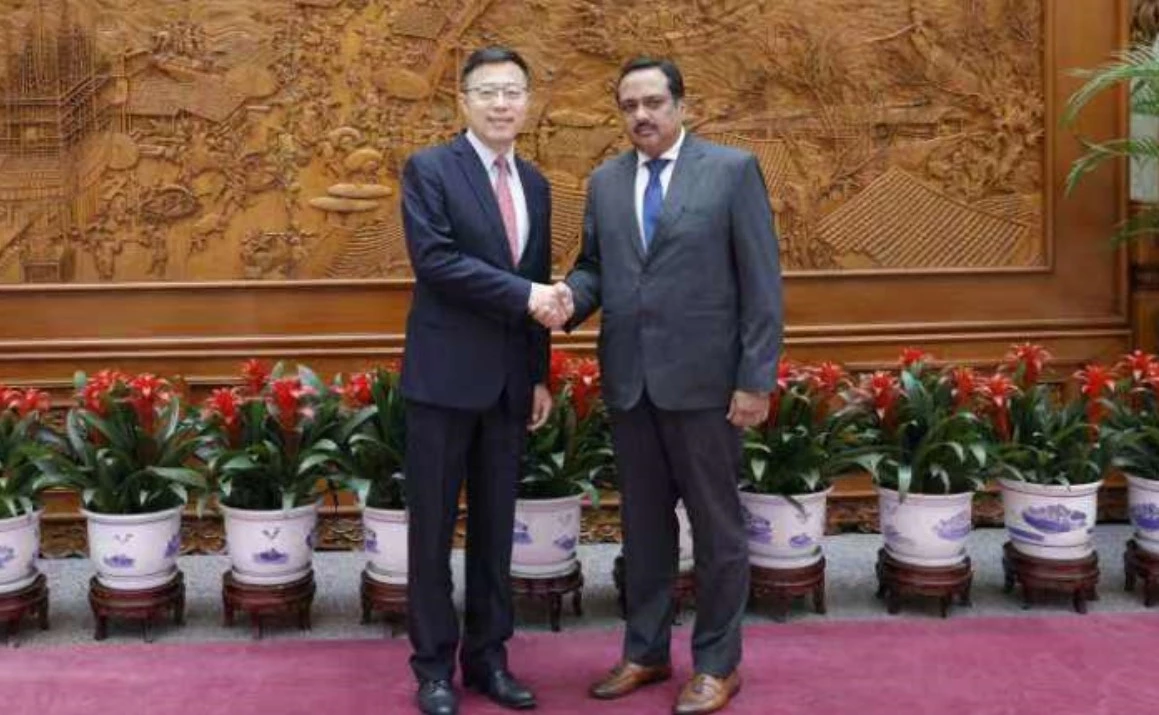 Pakistan has great potential to develop its economy: China ex-official