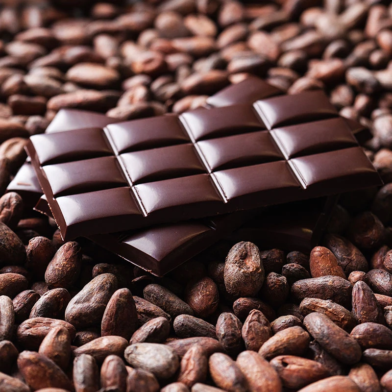 How chocolate could counter climate change