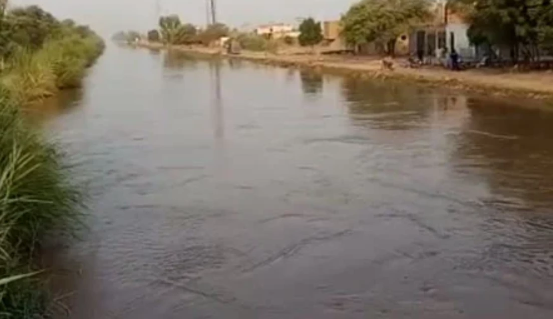 Three brothers drown in Rahim Yar Khan canal