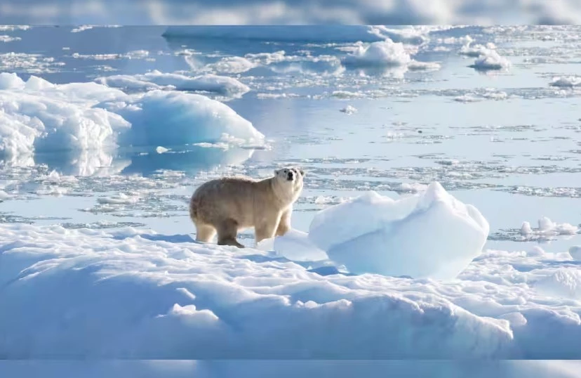 Arctic could be ice-free a decade earlier than thought