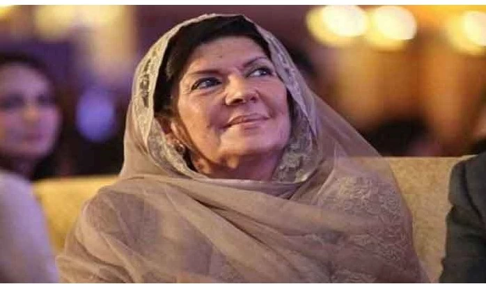 Aleema Khan gets interim bail in Jinnah House attack case