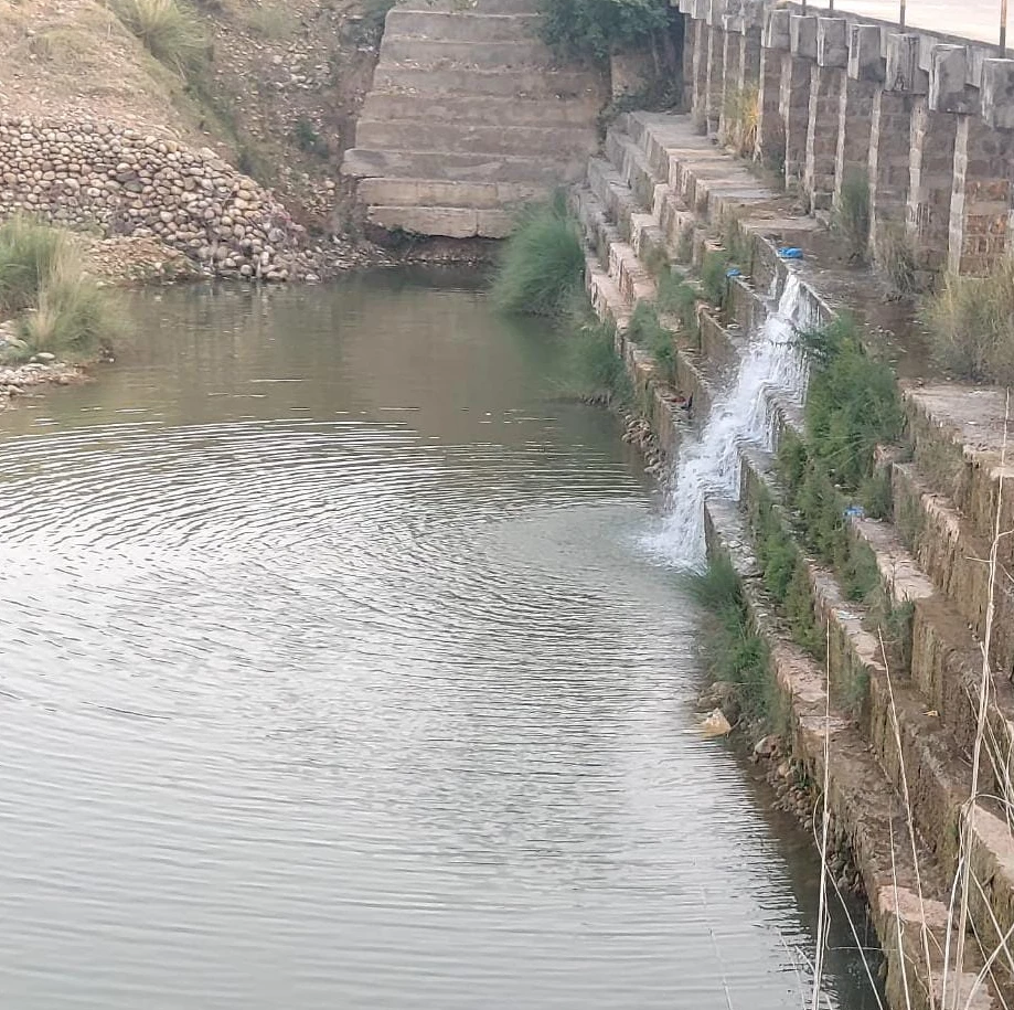Mother, three children drown in Kallar Syedan nullah  