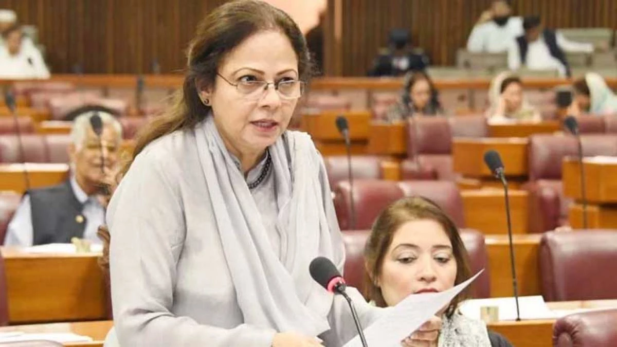 Pakistan, IMF to hold more talks: Minister