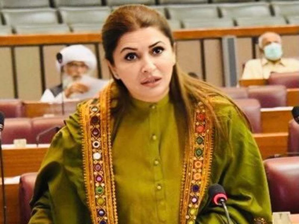 PPP rejects Chairman Senate Salaries and Privileges Bill