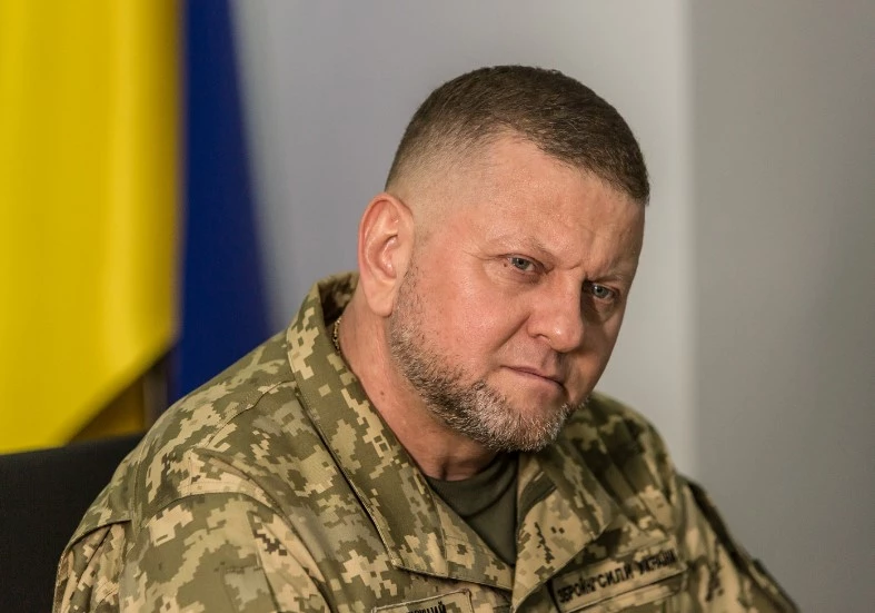 Ukraine's top general urges more arms for offensive