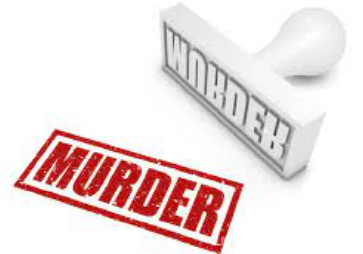 Woman killed in bid to save daughter from former son-in-law