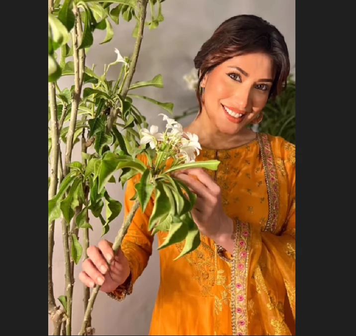 Story behind Mehwish Hayat’s ‘RISHTA PHOTOS’