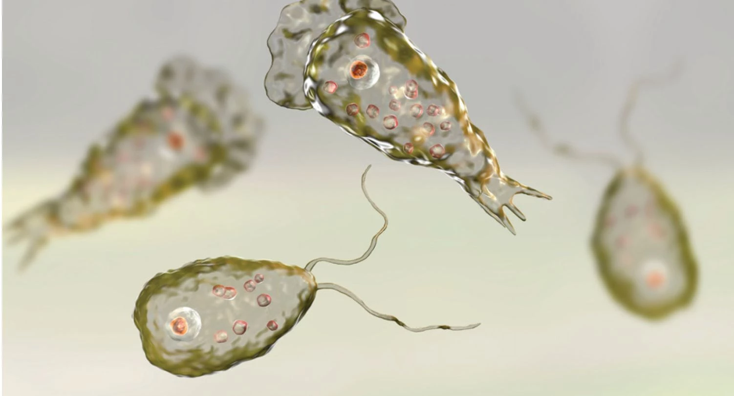 Investigation concludes: Youth's death at Services Hospital linked to Naegleria